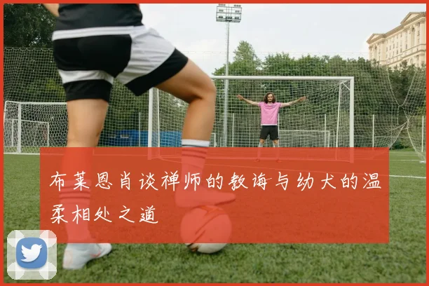 布莱恩肖谈禅师的教诲与幼犬的温柔相处之道