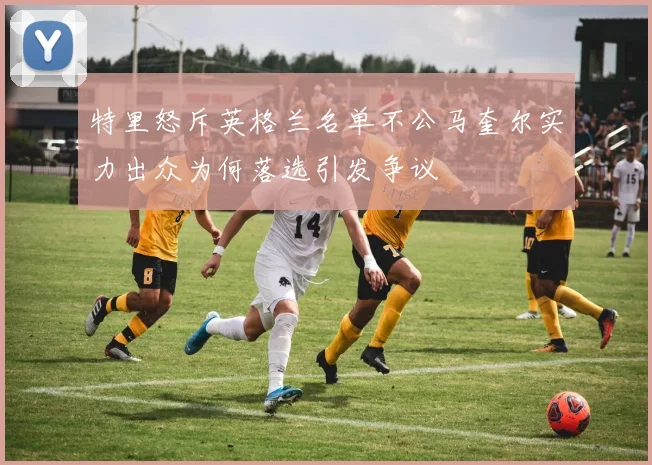 特里怒斥英格兰名单不公马奎尔实力出众为何落选引发争议